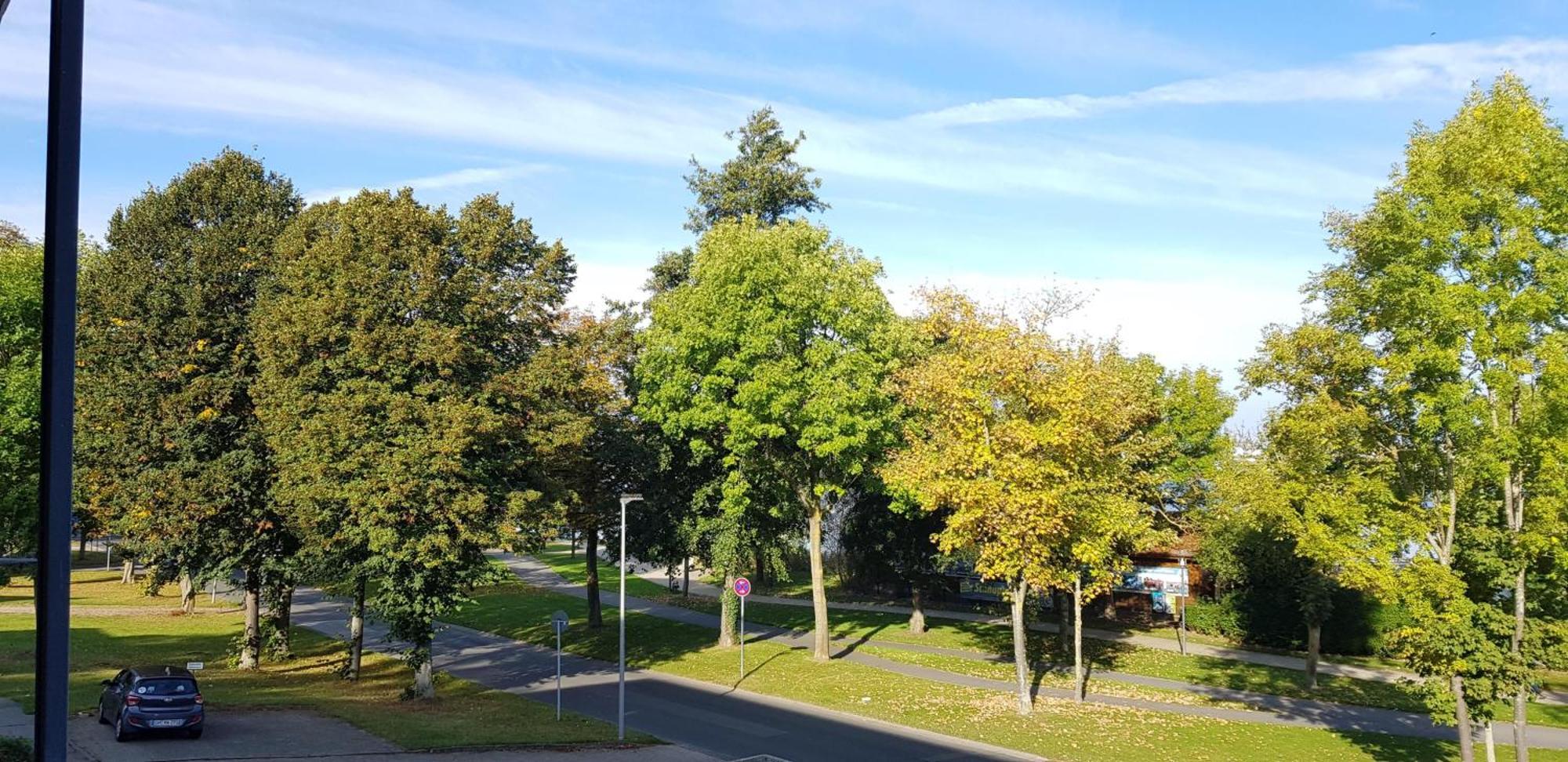 Stadtdomizil Am Binnensee, Haus Bellevue 하일리겐하펜 외부 사진